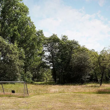 Holiday home Bosvilla Kennemerduinen