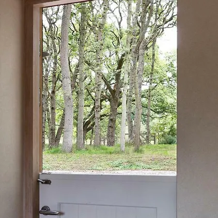 Bosvilla Kennemerduinen